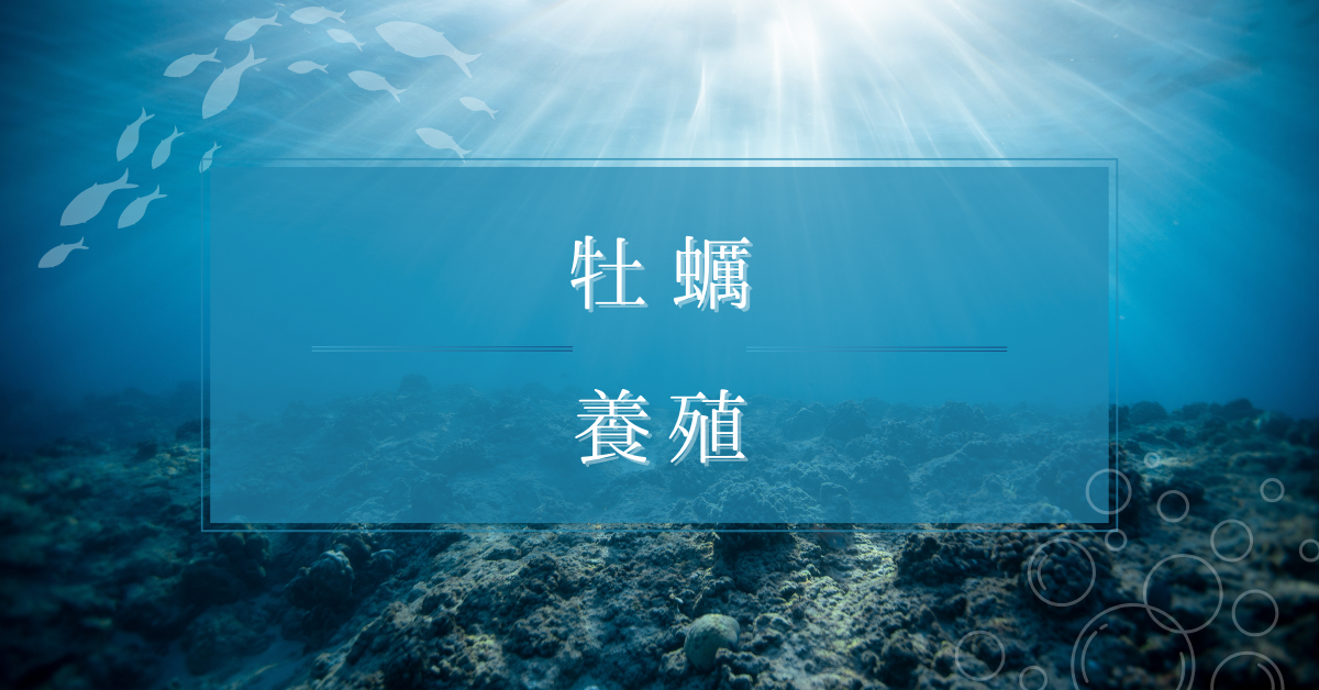 牡蠣養殖は儲かる?年収・初期費用から見るビジネスの実態と成功と集客のポイント解説