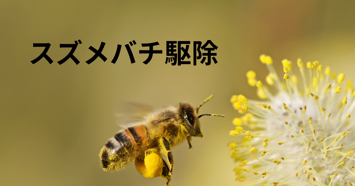 スズメバチ駆除は儲かるる?害虫駆除業で成功するための集客方法と収益モデルと起業のポイント