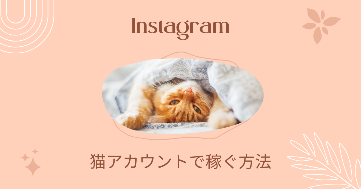 猫垢で稼ぐ!インスタでフォロワーを増やす方法と人気投稿のコツ