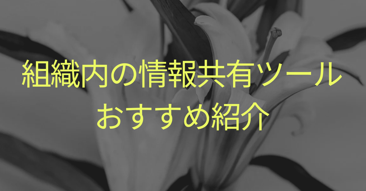 組織内の情報共有ツールのおすすめ紹介!社内連携と生産性を加速させる選び方と使い方
