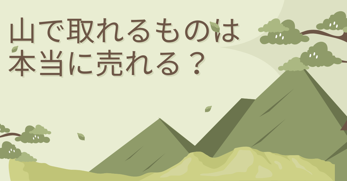 山で取れるものは本当に売れる？自然資源を活かす副業ビジネス実践ガイド