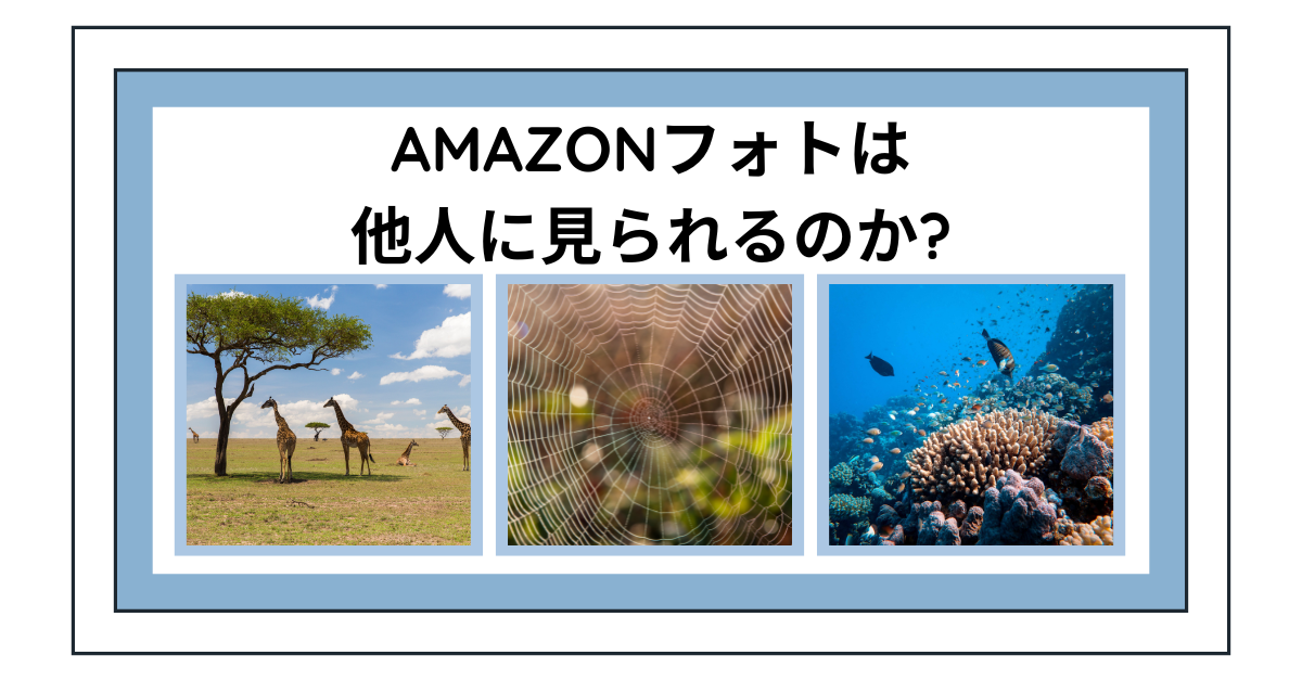 Amazonフォトは他人に見られるのか?仕事用データの共有リスクと設定の見直し方