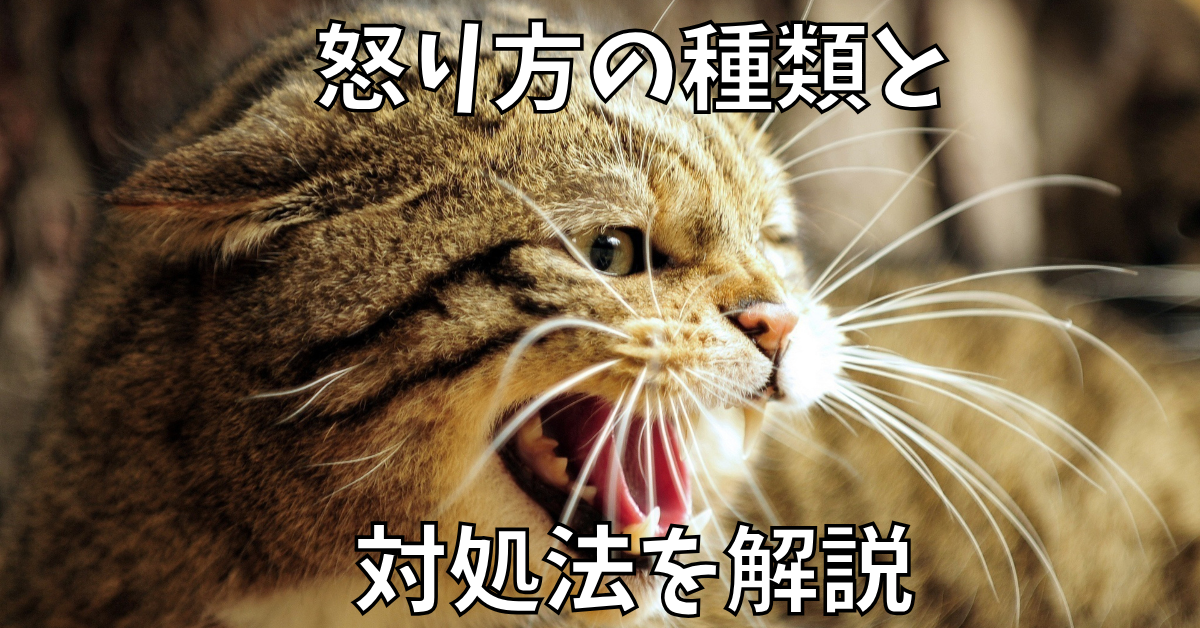 怒り方の種類と対処法を解説!職場で使えるアンガーマネジメントの実践知識