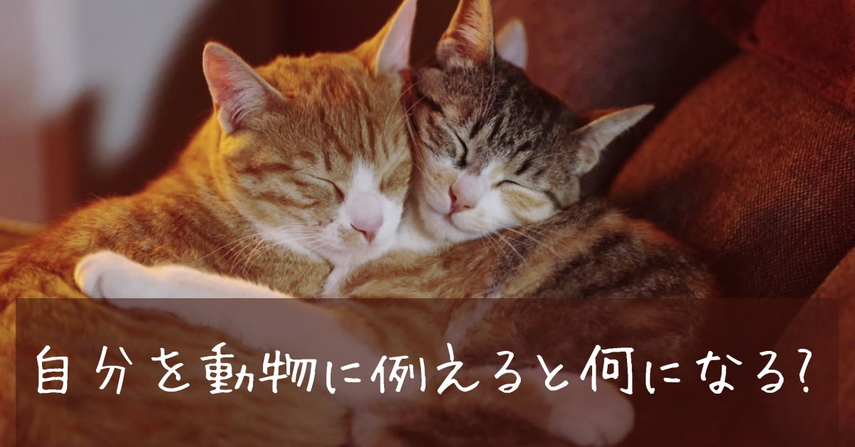 自分を動物に例えると何になる?面接で好印象を与える答え方と自己分析のコツ