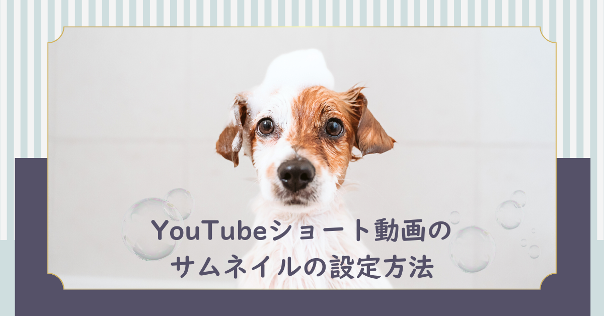 YouTubeショート動画のサムネイルの設定方法!変更できない時の対処法