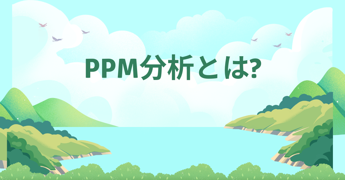 PPM分析とは?やり方から事例・テンプレートまで効果をわかりやすく解説