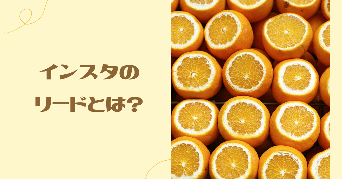 インスタのリードとは?広告目標の意味と獲得につなげる運用ポイント