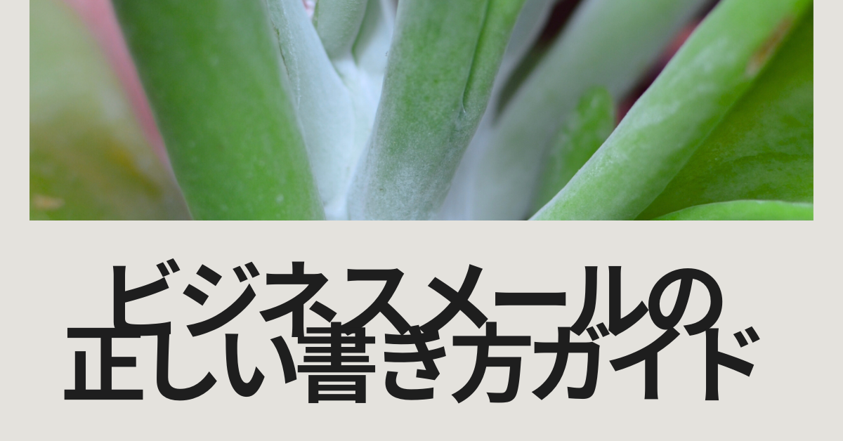ビジネスメールの正しい書き方ガイド!例文から書き出しの仕方まで解説